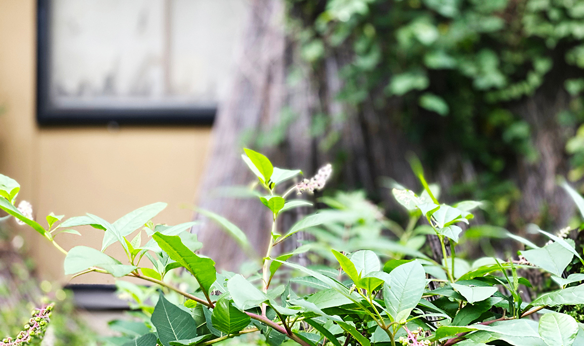 3.江戸川区にお住まいのA様が、「相続トラブルにならないよう不動産売却を前提とした遺言書を作成した事例」